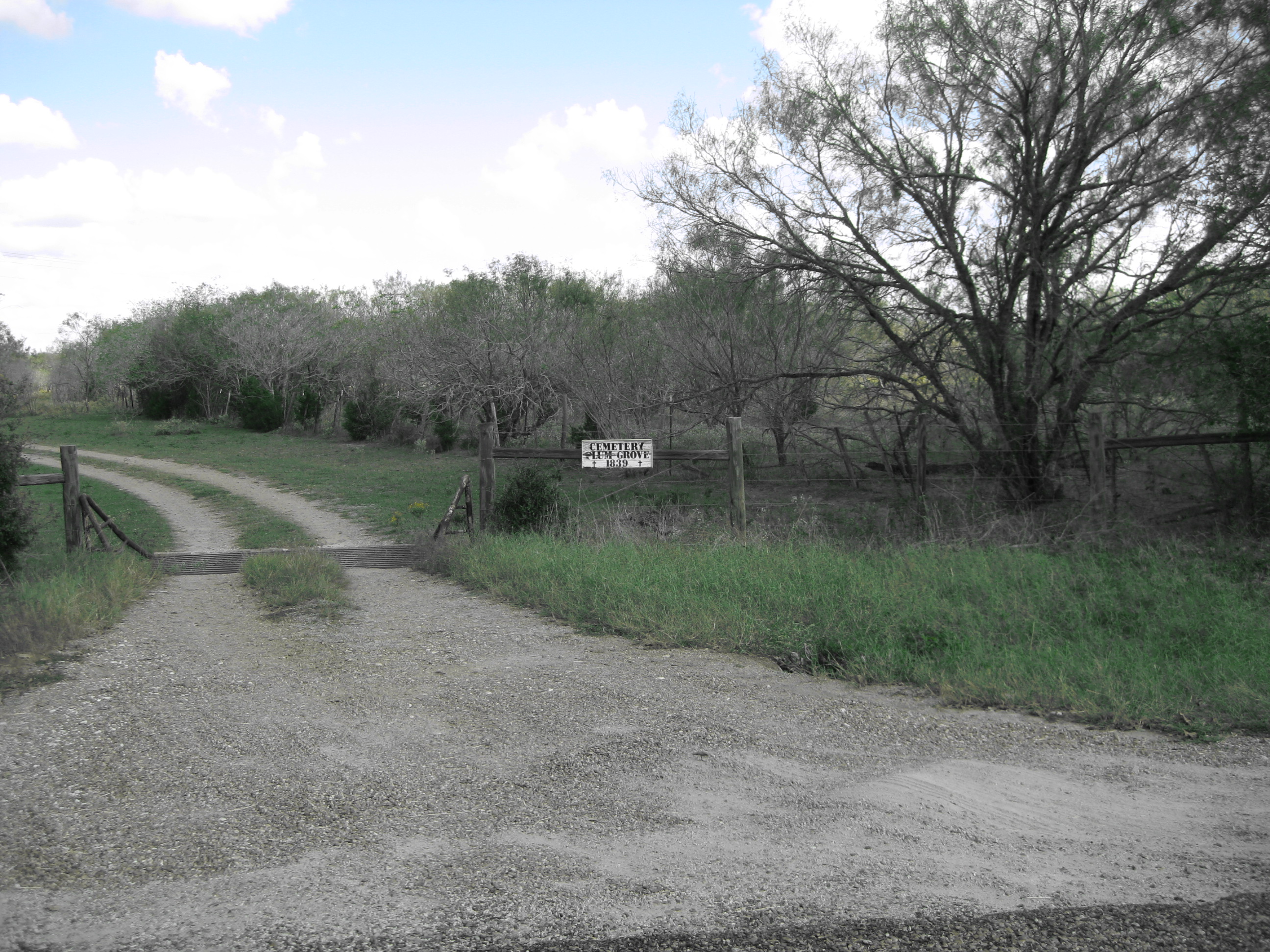 Plum Grove Cemetery